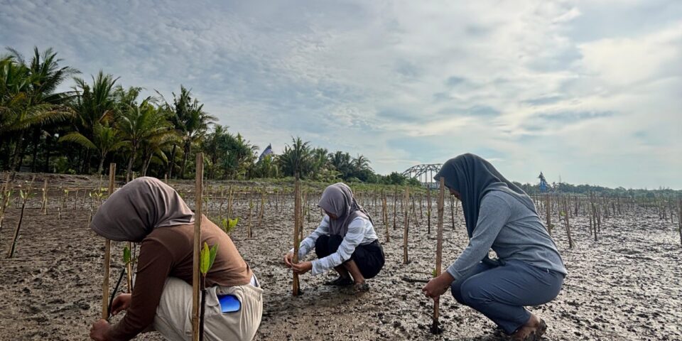 smaller_Foto3_SMKN1PND_MonitoringMangrove